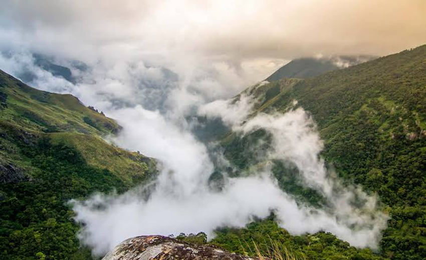 Top Station - Munnar