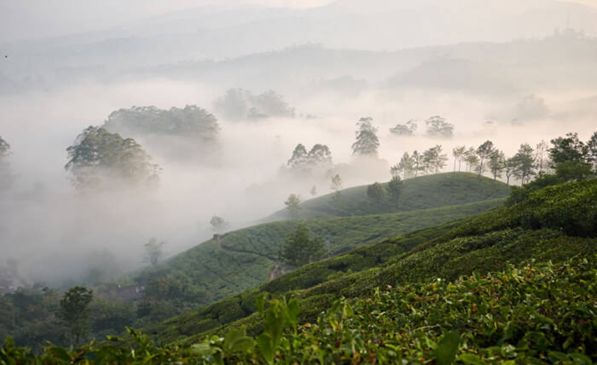 Top Station - Munnar