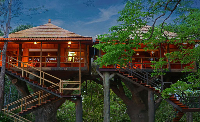 TREE HOUSE - Thekkady